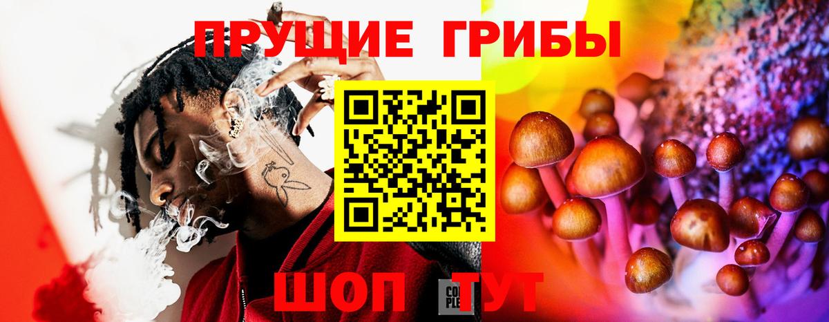 Галлюциногенные грибы ЛСД Большой Камень