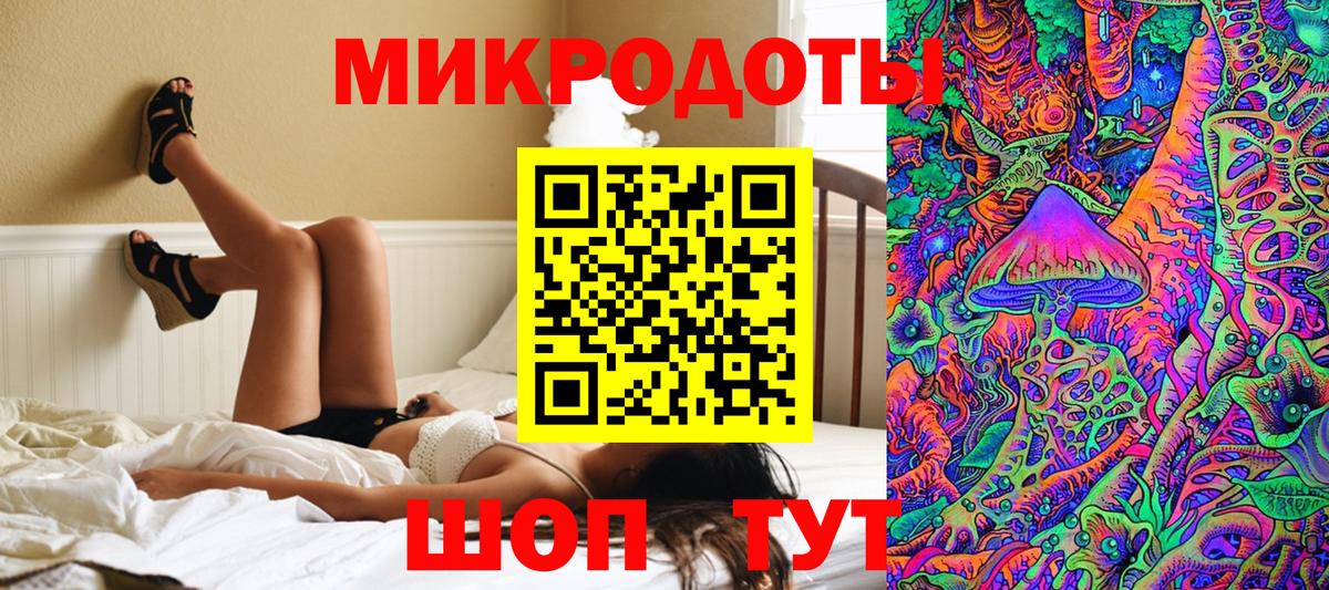 Большой Камень  Псилоцибиновые грибы мицелий  Вход с VPN 